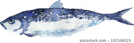 魚沙丁魚 魚沙丁魚 102506028