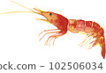 shrimp  102506034