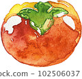 persimmon 102506037