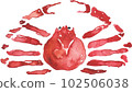 crab 102506038