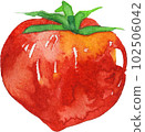 Tomato   102506042