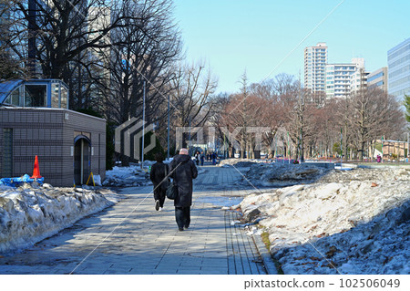雪融化時的大通公園 雪融化時的大通公園 102506049