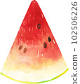 Watermelon water color 102506226