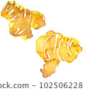 ginger watercolor 102506228