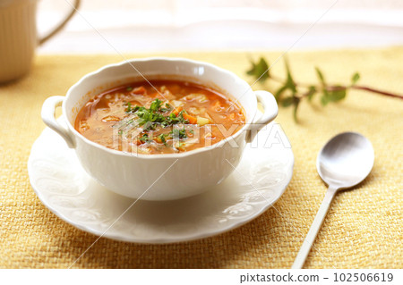 蔬菜通心粉湯配扁豆和蔬菜 102506619