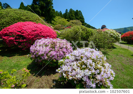 Mountain Hotel Garden Azalea and Walking Path Hakone (Kanagawa Prefecture) 102507601