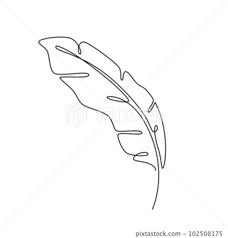 FEATHER LEAF LINE ART. Vector Feather Continuous Line Drawing. Vector illustration with banana leaf FEATHER LEAF LINE ART. Vector Feather Continuous Line Drawing. Vector illustration with banana leaf 102508175