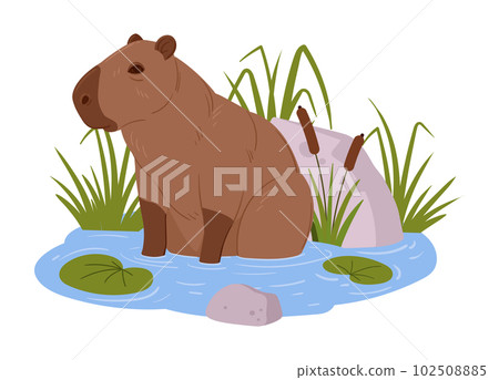 Download Capybara, Mammal, Capibara. Royalty-Free Vector Graphic