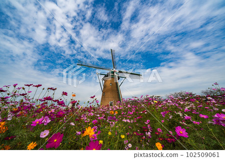 櫻花故里廣場的宇宙節 102509061