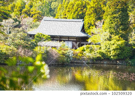 龍安寺庭園 龍安寺庭園 102509320