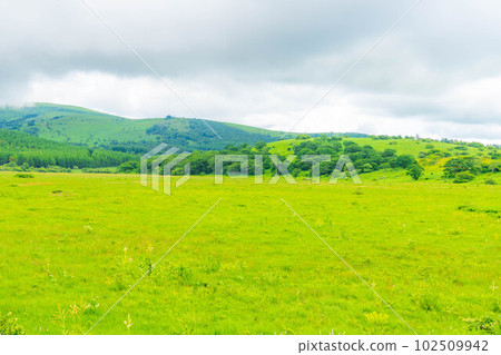 [Summer material] Wetlands in the sky/Yashimagahara wetlands in summer [Nagano Prefecture] 102509942