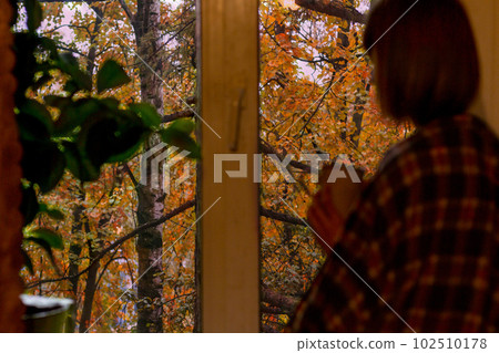Autumn coffee. A beautiful girl with a cup of coffee in her hands sits and looks out the window. Cozy autumn composition. Copy space. Autumn coffee. A beautiful girl with a cup of coffee in her hands sits and looks out the window. Cozy autumn composition. Copy space. 102510178