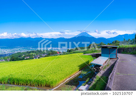 [夏季素材]從中野梯田看到的富士山[山梨縣] 102510707