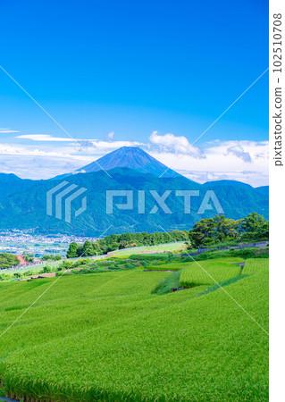 [夏季素材]從中野梯田看到的富士山[山梨縣] 102510708