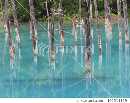 The tourist spot "Blue Pond" in Bibai Town 102511159