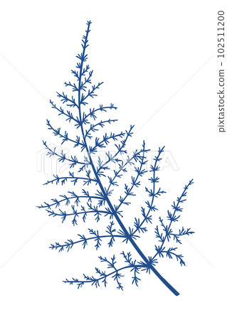 Fern. Blue. Botanical illustration. Engravin style. Foliage. Outline illustration without fill. 102511200