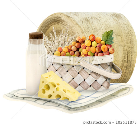 Watercolor Shavuot picnic with wicker basket. Milk, wheat, grapes, cheese, blanket, rolled hay. Dairy farm illustration Watercolor Shavuot picnic with wicker basket. Milk, wheat, grapes, cheese, blanket, rolled hay. Dairy farm illustration 102511873