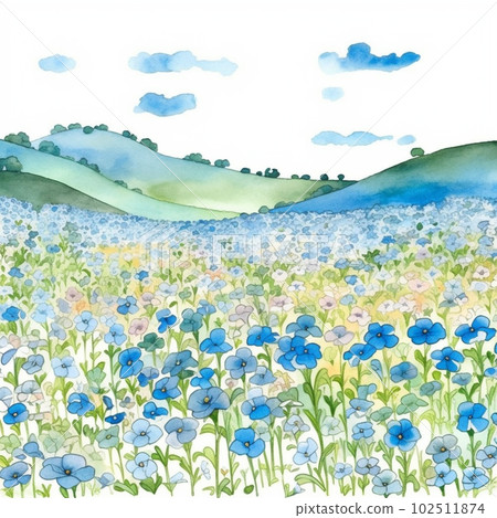 nemophila 花田的水彩插圖 nemophila 花田的水彩插圖 102511874