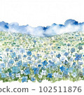 Watercolor illustration of nemophila flower field 102511876