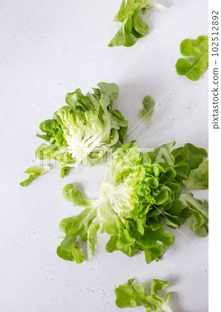 Fresh butter head of green lettuce leaves, top view Fresh butter head of green lettuce leaves, top view 102512892