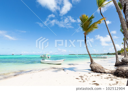 Bavaro beach in sunny day with calm ocean and white  beach, Dominican republic 102512904