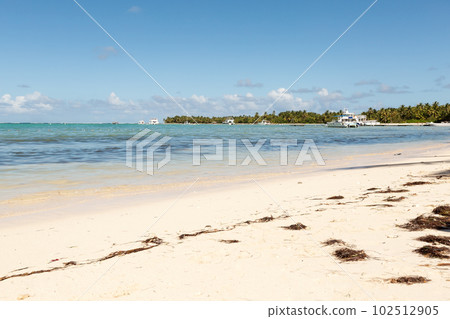 Bavaro beach in sunny day with calm ocean and white  beach, Dominican republic 102512905