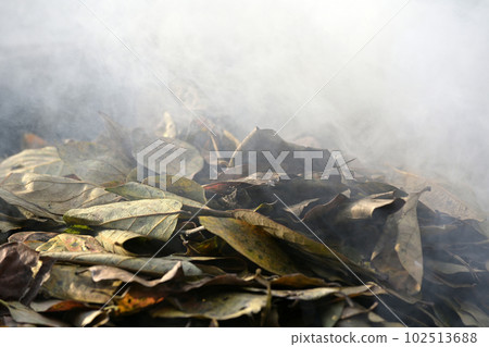 fallen leaves bonfire fallen leaves bonfire 102513688