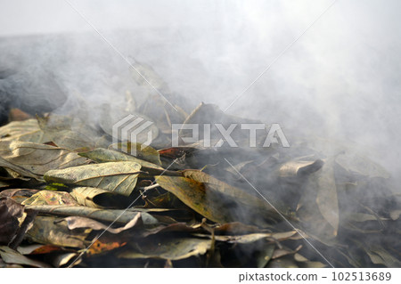 fallen leaves bonfire fallen leaves bonfire 102513689