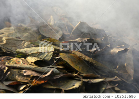 fallen leaves bonfire fallen leaves bonfire 102513696