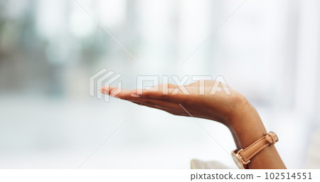 A woman hand open showing mockup space in the room of a modern building. Closeup of a girl stretching out her palm with a taking or holding gesture with copy space for advertising, design or sign. A woman hand open showing mockup space in the room of a modern building. Closeup of a girl stretching out her palm with a taking or holding gesture with copy space for advertising, design or sign. 102514551