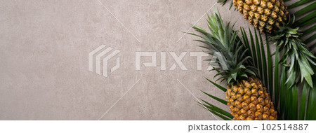 Bromeliad tropical leaves penglai banana background turtle leaf pineapple background パ イ ナ ッ プ ル Bromeliad tropical leaves penglai banana background turtle leaf pineapple background パ イ ナ ッ プ ル 102514887