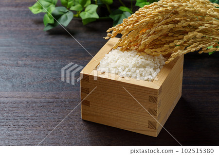 Rice and ear rice Rice and ear rice 102515380