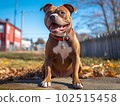 Generative IA illustration of Pitbull sitting by Bright day outside. 102515458
