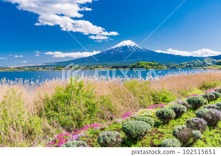 從川口大石公園(山梨縣)看到的富士山 從川口大石公園(山梨縣)看到的富士山 102515651
