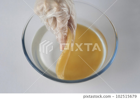 A person puts a scoby or fungus in a glass bowl of water to wash the tea mushroom for fermentation. Preparing a healthy kombucha drink. A person puts a scoby or fungus in a glass bowl of water to wash the tea mushroom for fermentation. Preparing a healthy kombucha drink. 102515679