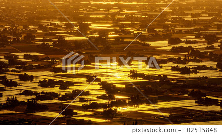 [富山縣]礪波的黃昏和散落的村莊 102515848