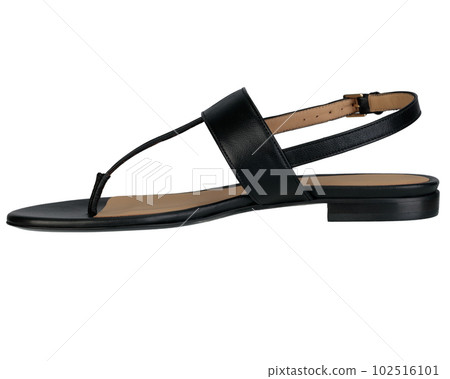 Black women's sandals, classic on flat sole, isolated background. Black women's sandals, classic on flat sole, isolated background. 102516101