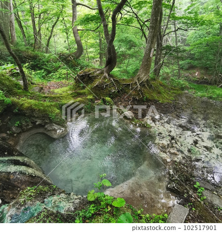 岩尾別溫泉 三段之湯 知床隱密溫泉 絕景 知床天然溫泉 岩尾別溫泉 三段之湯 知床隱密溫泉 絕景 知床天然溫泉 102517901
