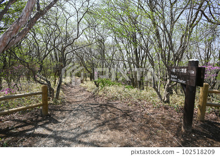 栃木縣那須自然研究路線入口處的風景 栃木縣那須自然研究路線入口處的風景 102518209