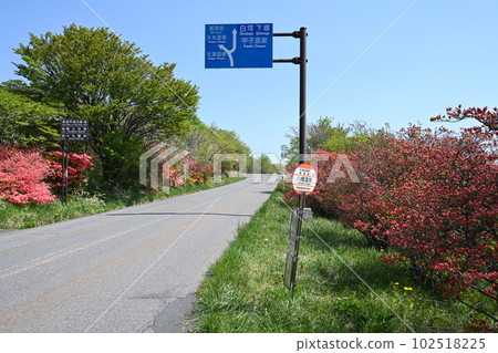 Scenery of Yawata azalea community, Nasu Highlands, Tochigi Prefecture 102518225