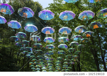 Umbrella sky 102519010