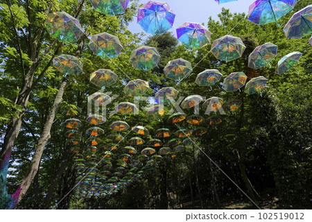Umbrella Sky and Soap Bubbles 102519012