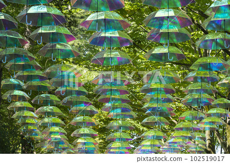 Umbrella sky 102519017