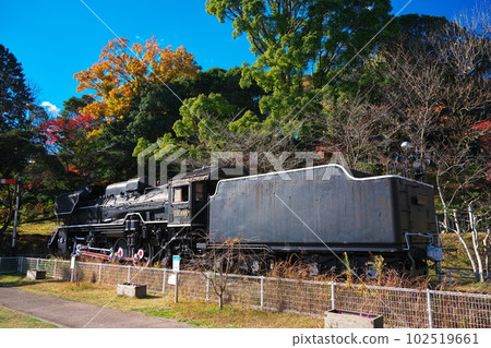 Degoichi on display outdoors at Tsu City Kairaku Park in late autumn Degoichi on display outdoors at Tsu City Kairaku Park in late autumn 102519661