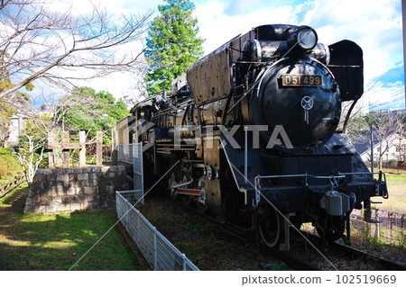 Degoichi on display outdoors at Tsu City Kairaku Park in late autumn Degoichi on display outdoors at Tsu City Kairaku Park in late autumn 102519669