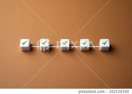 Fulfillment of clauses conditions in the roadmap agreement contract. Project management or goal-setting. Fact check. Series of correct decisions. Fulfill all requirements. Step by step confirmation. 102520100