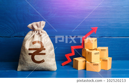 Ukrainian hryvnia money bag with boxes and up arrow. Income increase, acceleration and growing of economy. High sales. Growing transportation prices. Good consumer sentiment and demand for goods. 102520213