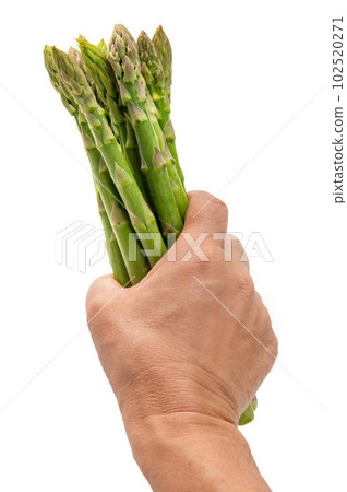 Hand-picked green asparagus 102520271