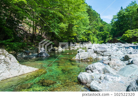 Yasui Valley (Niyodo Blue): Otomegawara 102522320