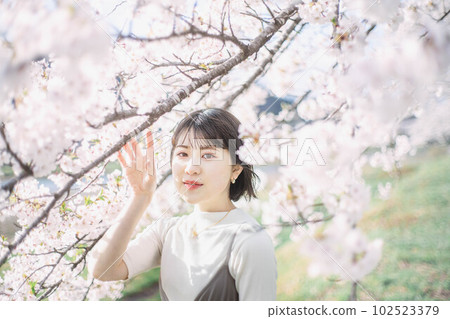 Cherry blossoms in the blue sky and a woman full of transparency Cherry blossoms in the blue sky and a woman full of transparency 102523379